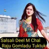 About Salsali Deel M Chal Song